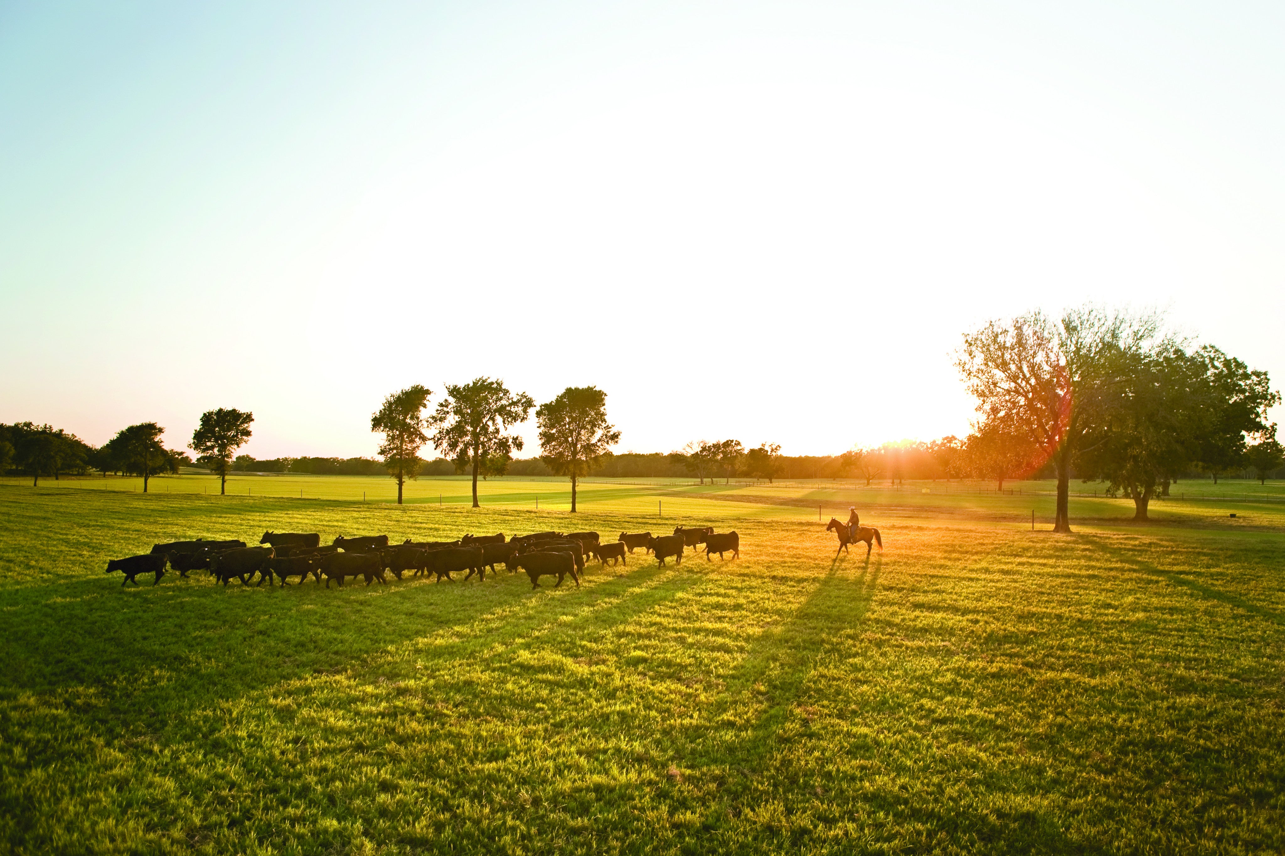 The American Rancher Features 44 Farms