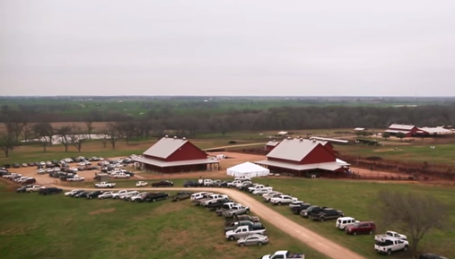 2015 Prime Cut Bull Sale Recap Video